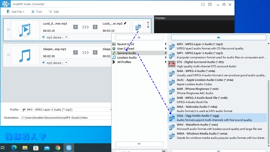 AnyMP4 Audio Converter