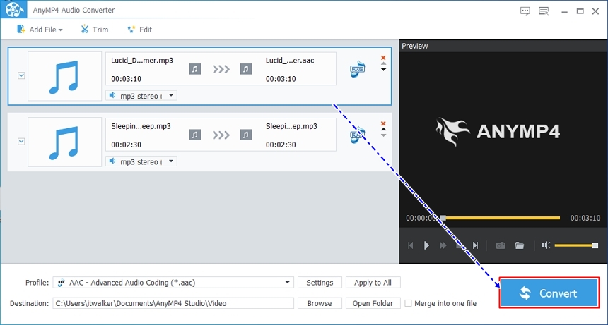 AnyMP4 Audio Converter