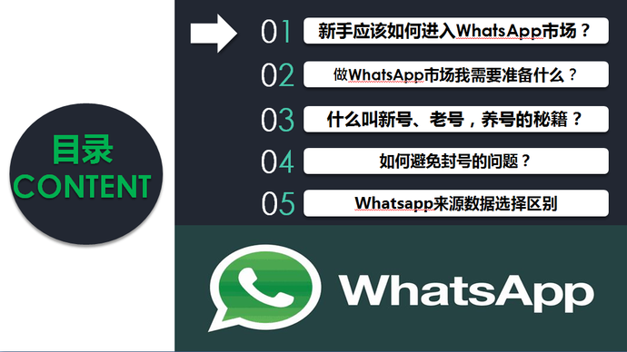 全球通whatsapp终极营销课程