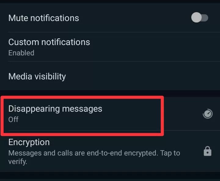 WhatsApp Disappearing Messages