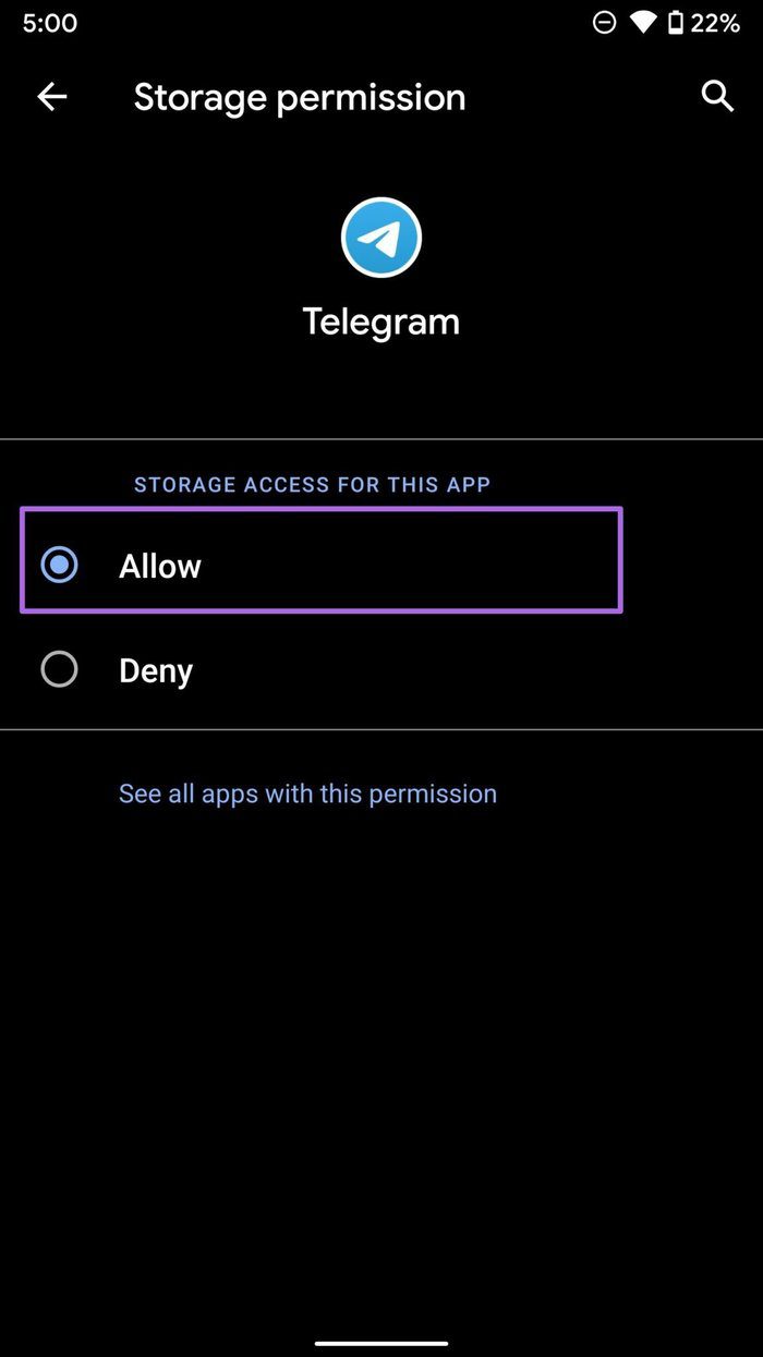 Allow storage permission