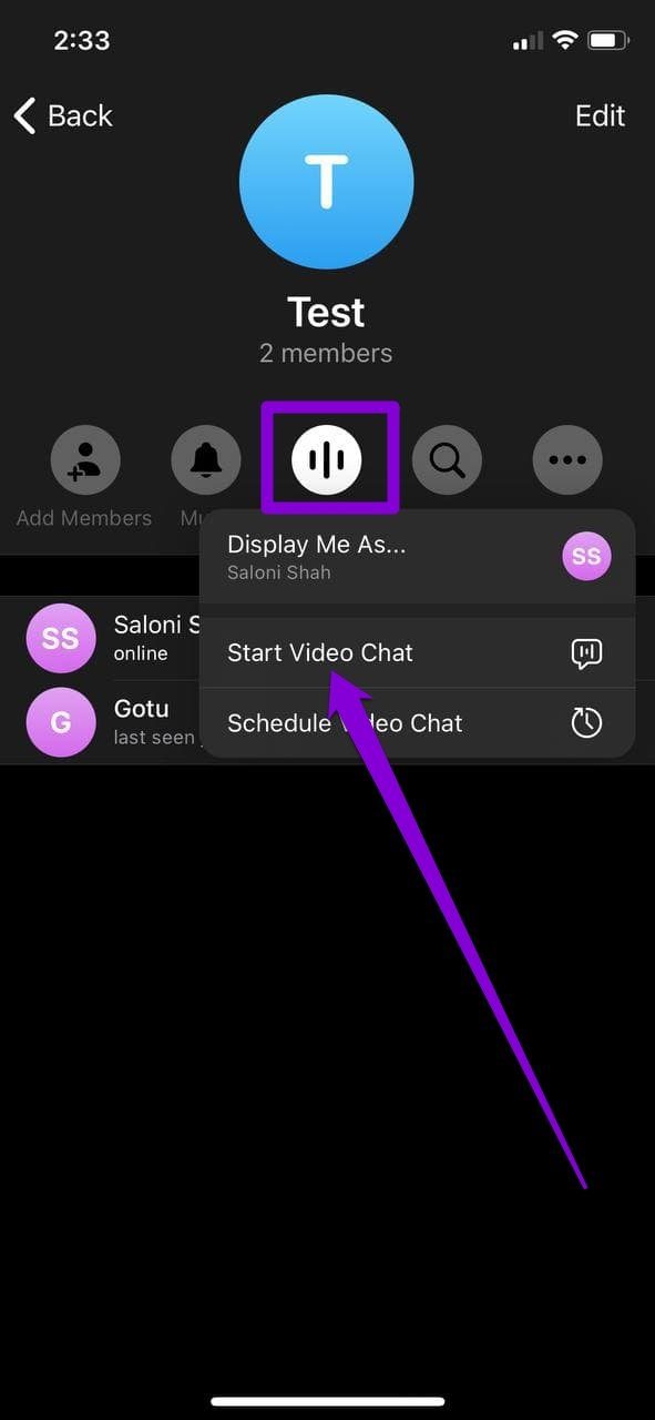 Start Group Video Chat