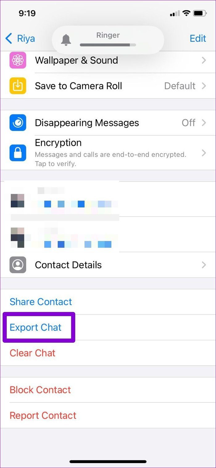 Export Chat