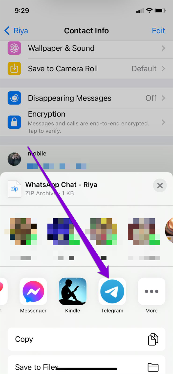 Share Chat History to Telegram