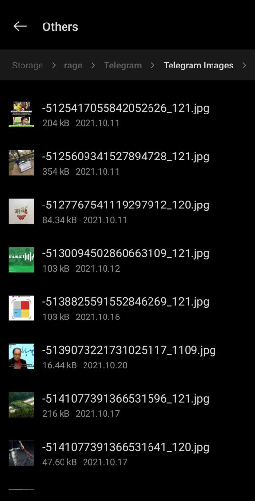 telegram files