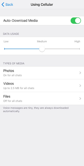 Disable auto download Telegram iPhone