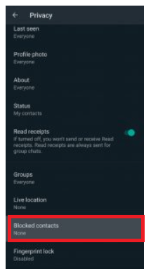 WhatsApp Privacy Settings Menu