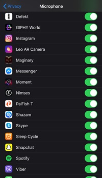 Enable Microphone iPhone
