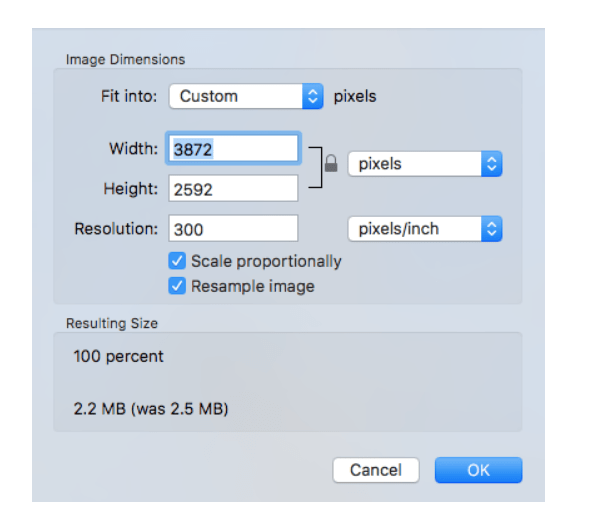 Mac Preview app - Image Dimensions menu