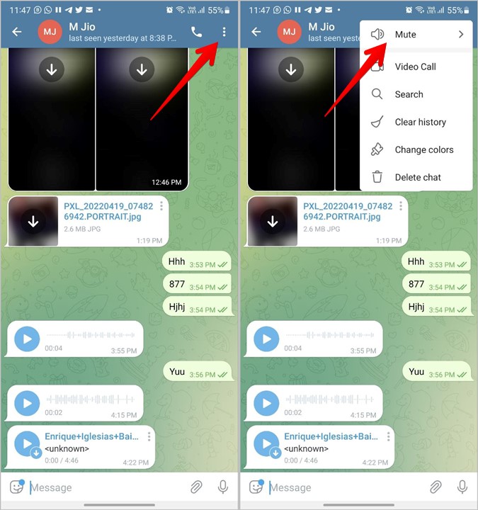 mute option in telegram app