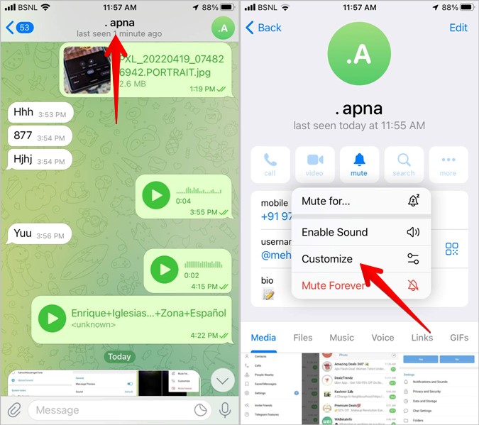 Telegram iPhone Contact mute