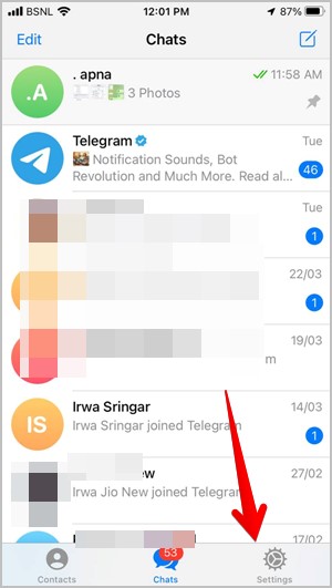 Telegram iPhone Settings