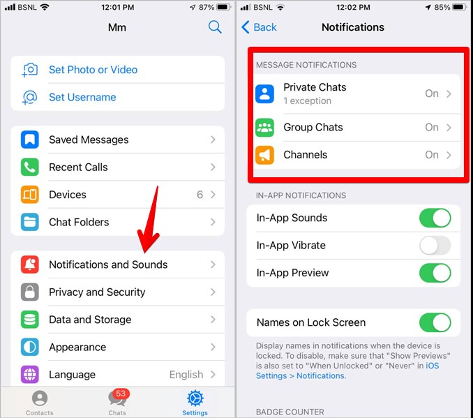 Telegram iPhone Settings notification