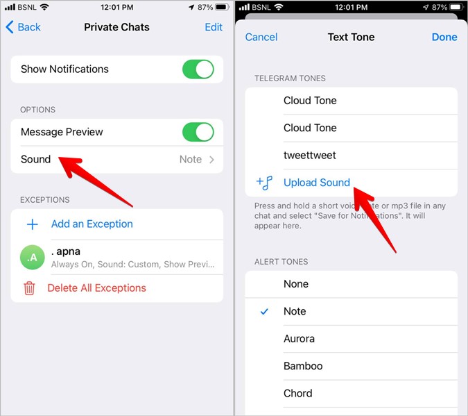 Telegram iPhone Settings Sound