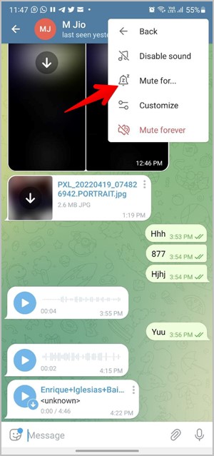 Telegram Notification Turn off mute