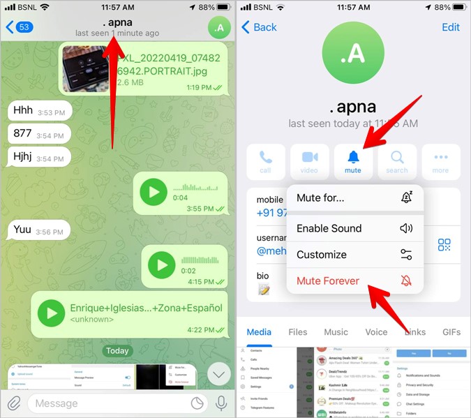 Telegram Notification Turn off mute iphone