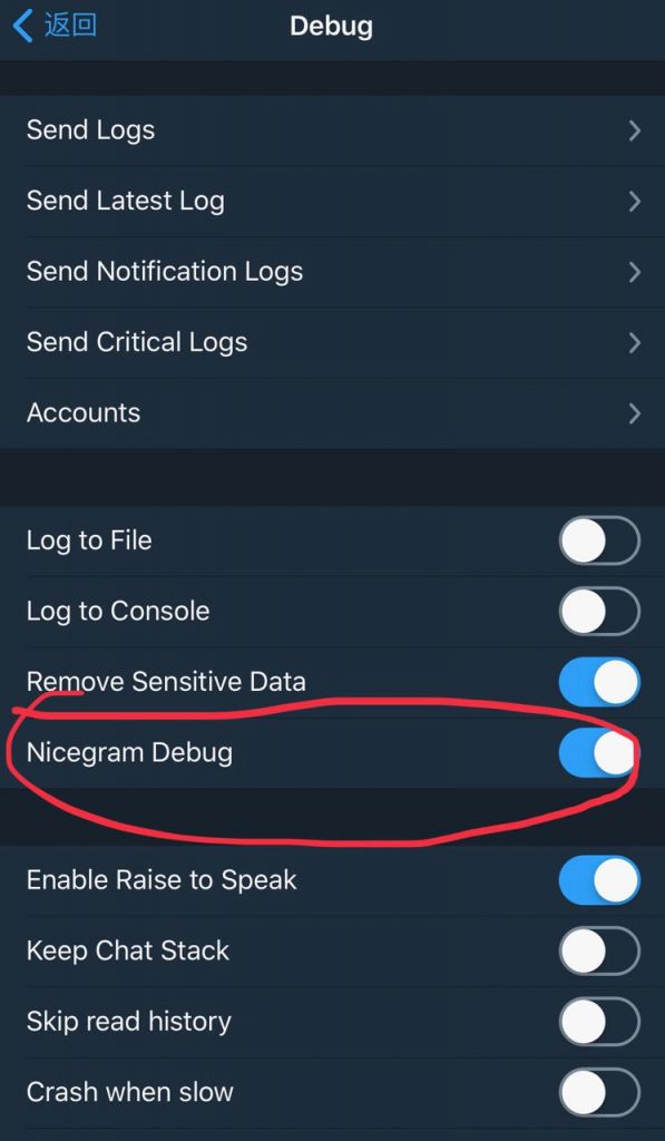 Nicegram中文设置及Debug模式开启-电报群Telegram第三方IOS客户端插图(3)