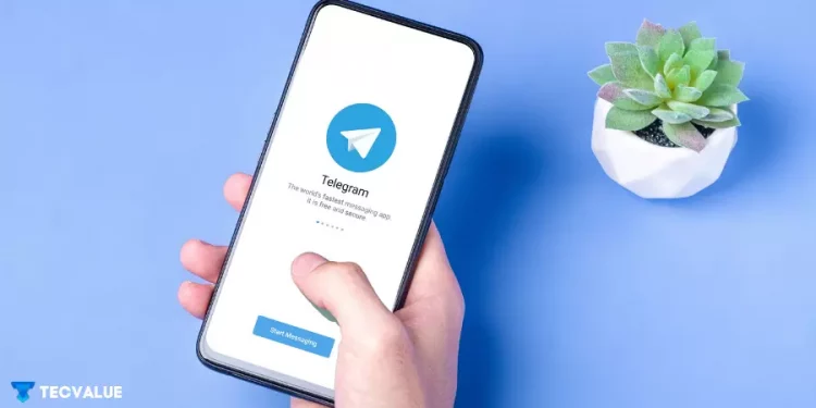 Web Telegram1