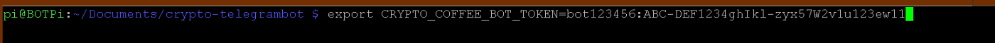 Terminal showing set enviroment variable